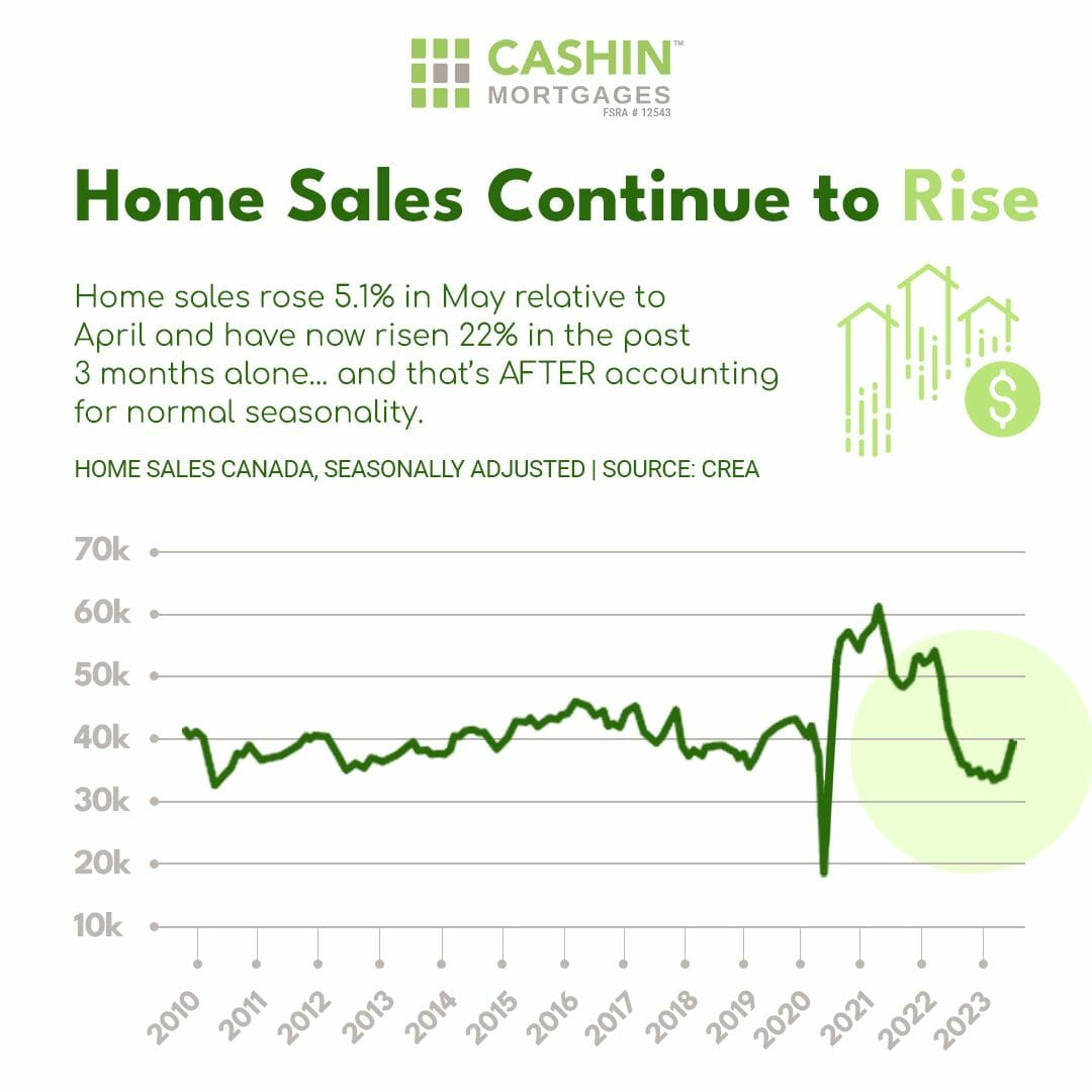 Riding the Wave: A Real Estate Market Update