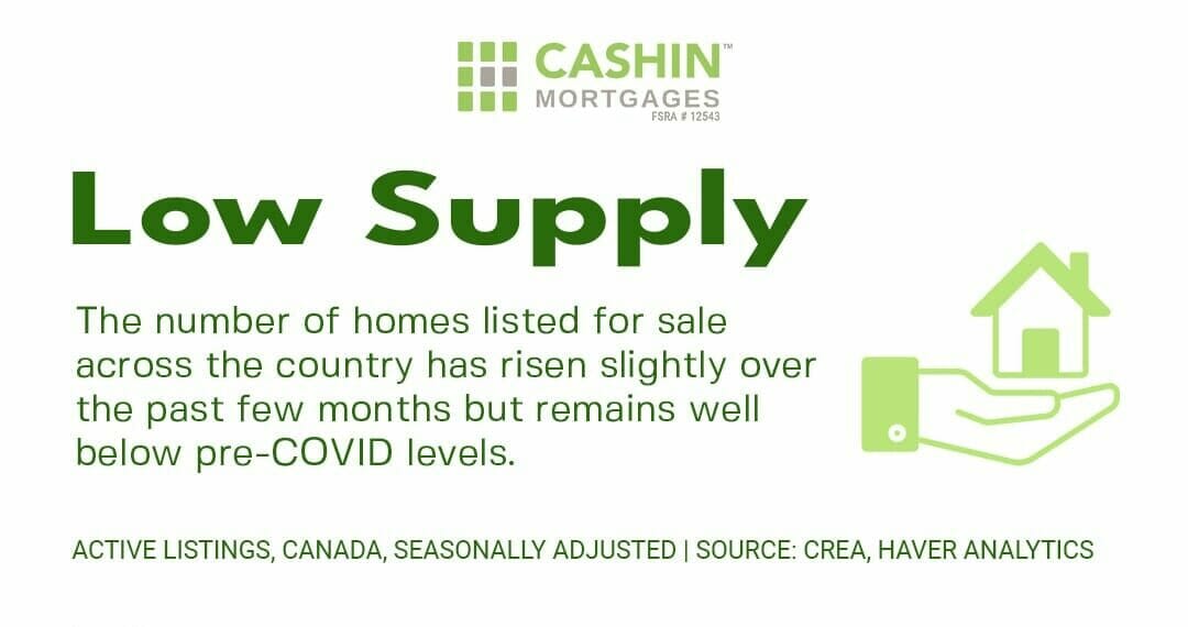 Navigating the Current Real Estate Landscape: Market Update and Insights