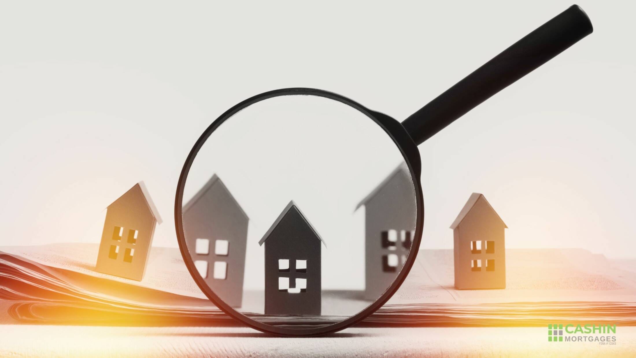 Monthly Market Summary: August 2024