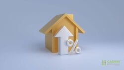 Market Update July 2026